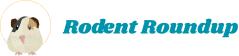 Logo with rodent roundup text and guinea pig illustration